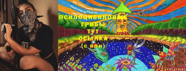 2c-b Беломорск