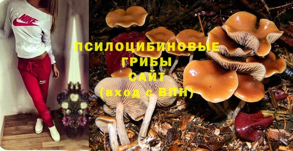 скорость Богородск