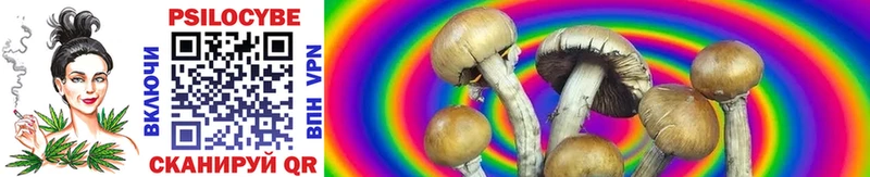 Галлюциногенные грибы MAGIC MUSHROOMS  Купить где  Лаишево 